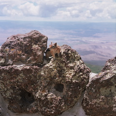 Colorado Western Slope